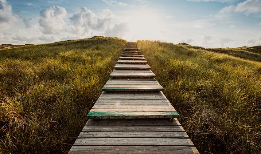 Steps leading towards horizon in grass field
