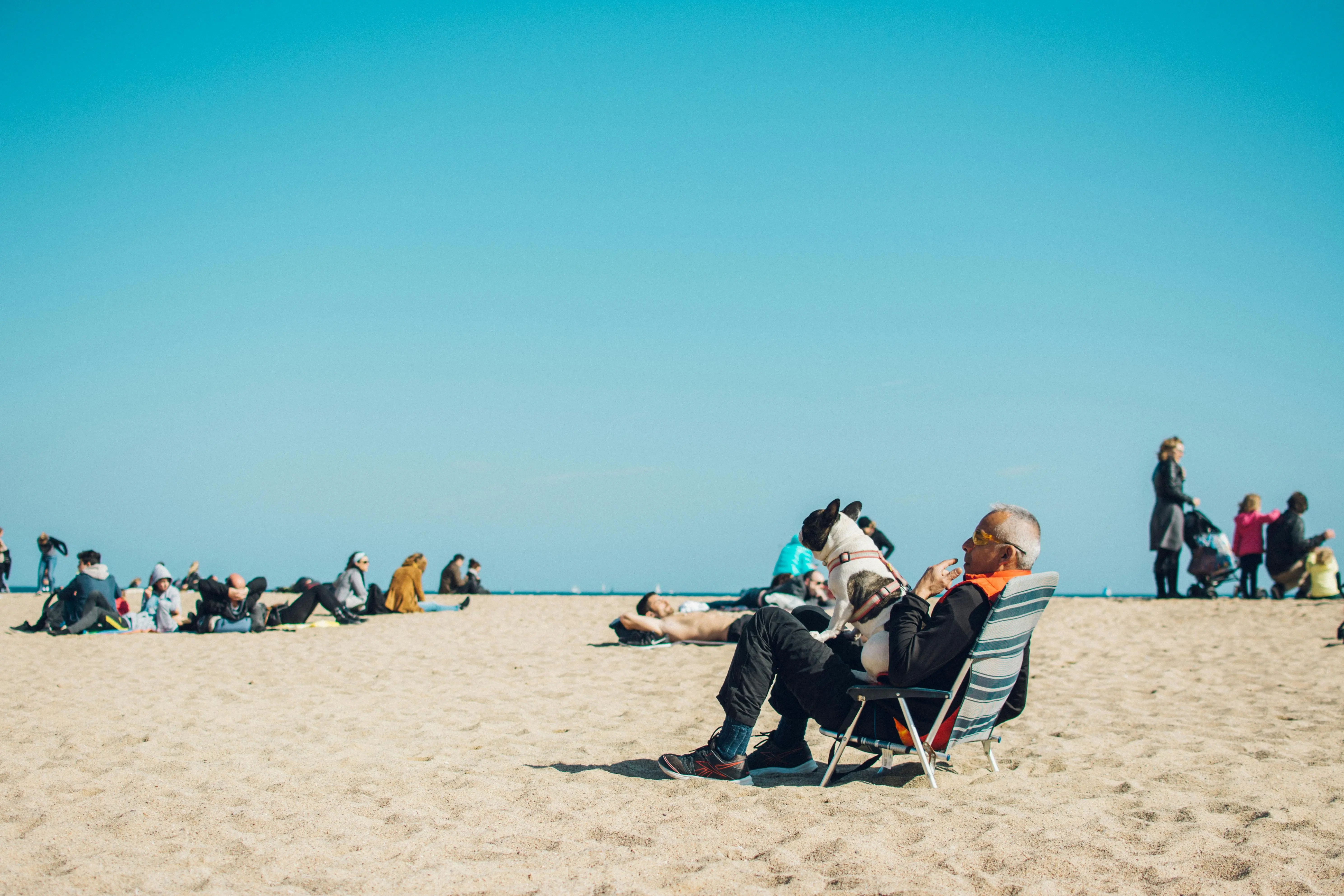 Older man relaxing in a beach chair with a dog on his lap, surrounded by people enjoying a sunny day on the sand.