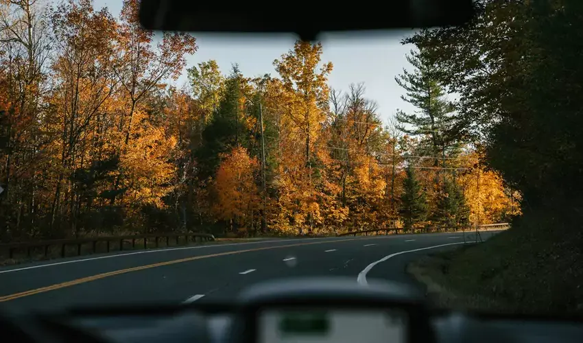 view through the dashboard of a car on a road during fall