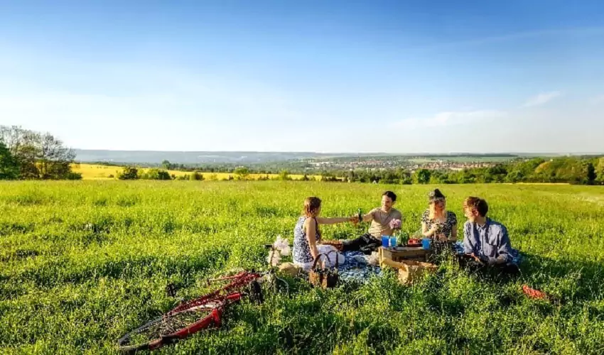 Group of friends having picnic